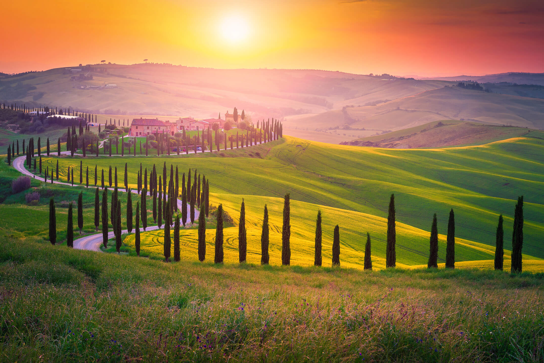 Solnedgång i Toscana, Italien, med en väg kantad av cypresser