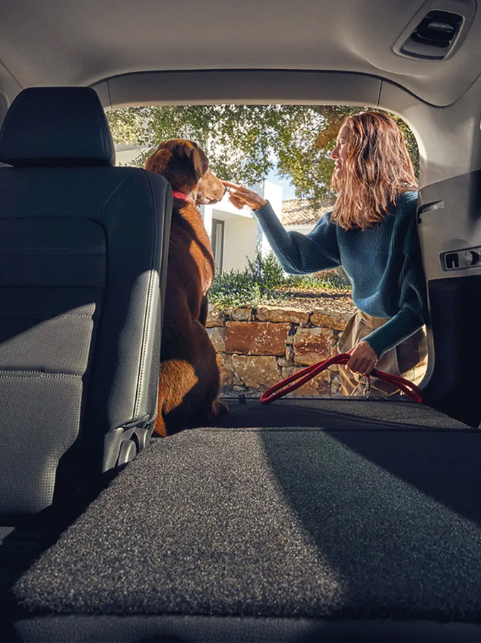 Interiörvy av en bil som visar ett panoramaglastak som släpper in ljus från den blå himlen och solen, med framsäten i läder och nackstöd belysta av naturligt ljus.