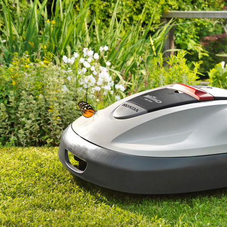 N&auml;rbild av Miimo, tr&auml;dg&aring;rdsmilj&ouml;.