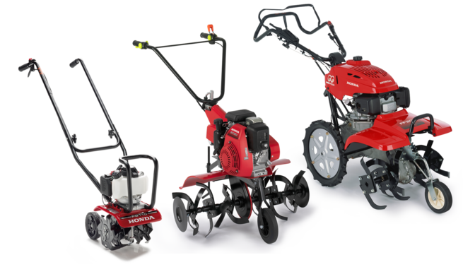 3 jordfr&auml;sar. Trekvartsvy framifr&aring;n, &aring;t h&ouml;ger.