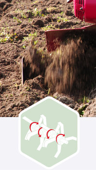 Rotorfr&auml;sar, bild som fokuserar p&aring; motroterande sk&auml;r, i tr&auml;dg&aring;rd.