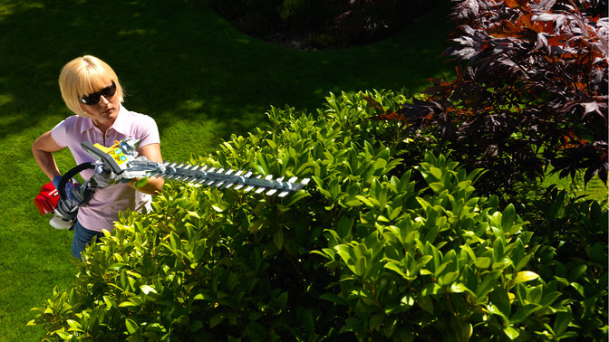 Honda Versatool med monterad häcktrimmer, använd av en modell, i trädgård.