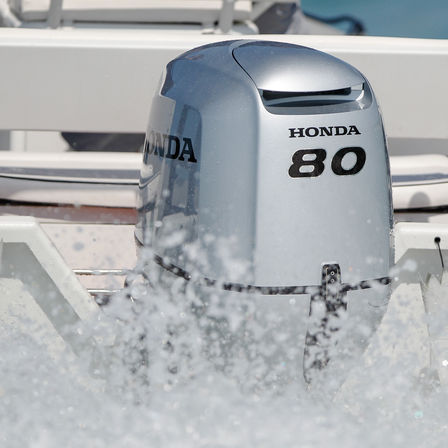 N&auml;rbild p&aring; BF80-motor, kustmilj&ouml;.